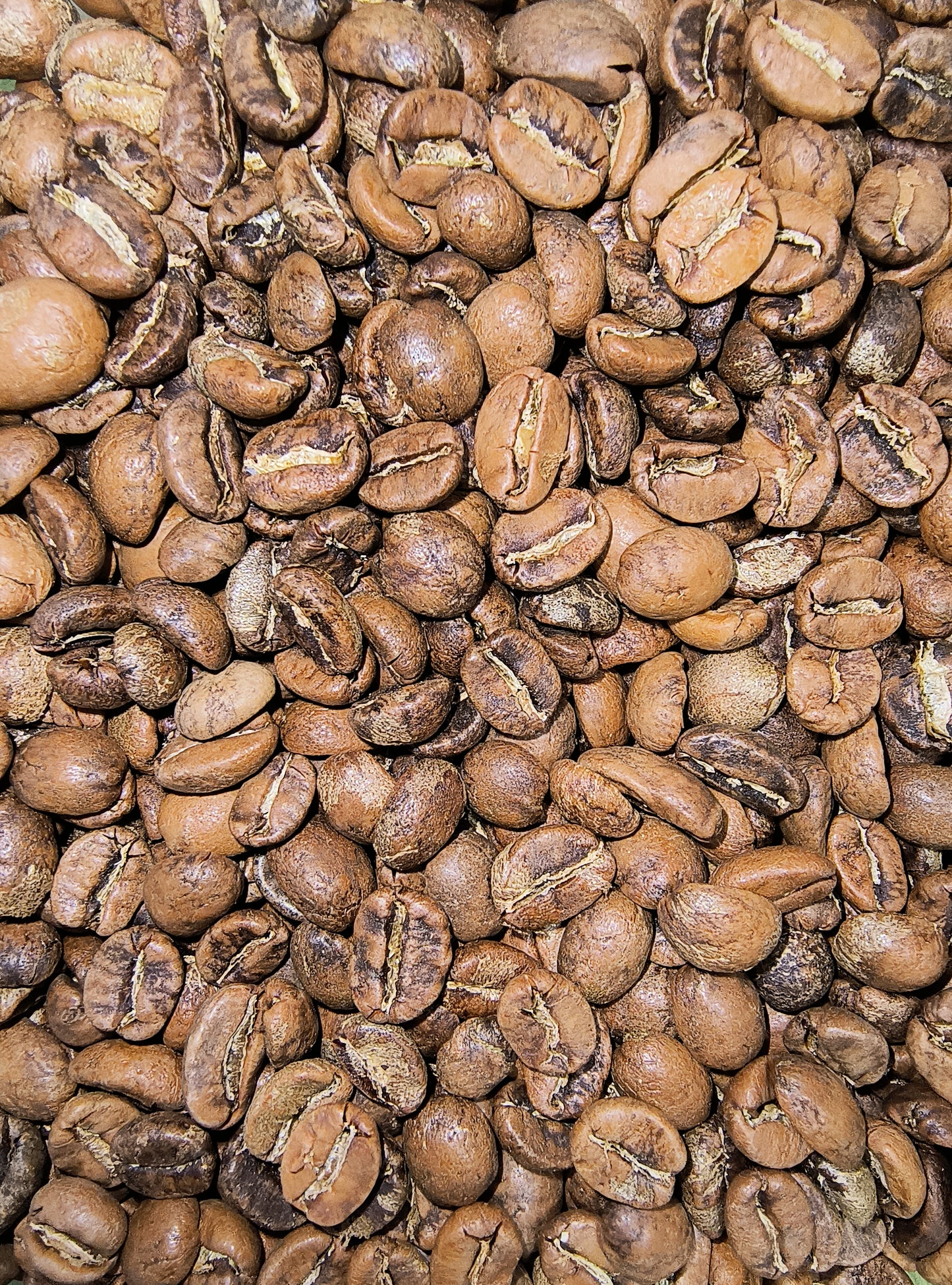 CHIAPAS MEDIUM ROAST COFFEE