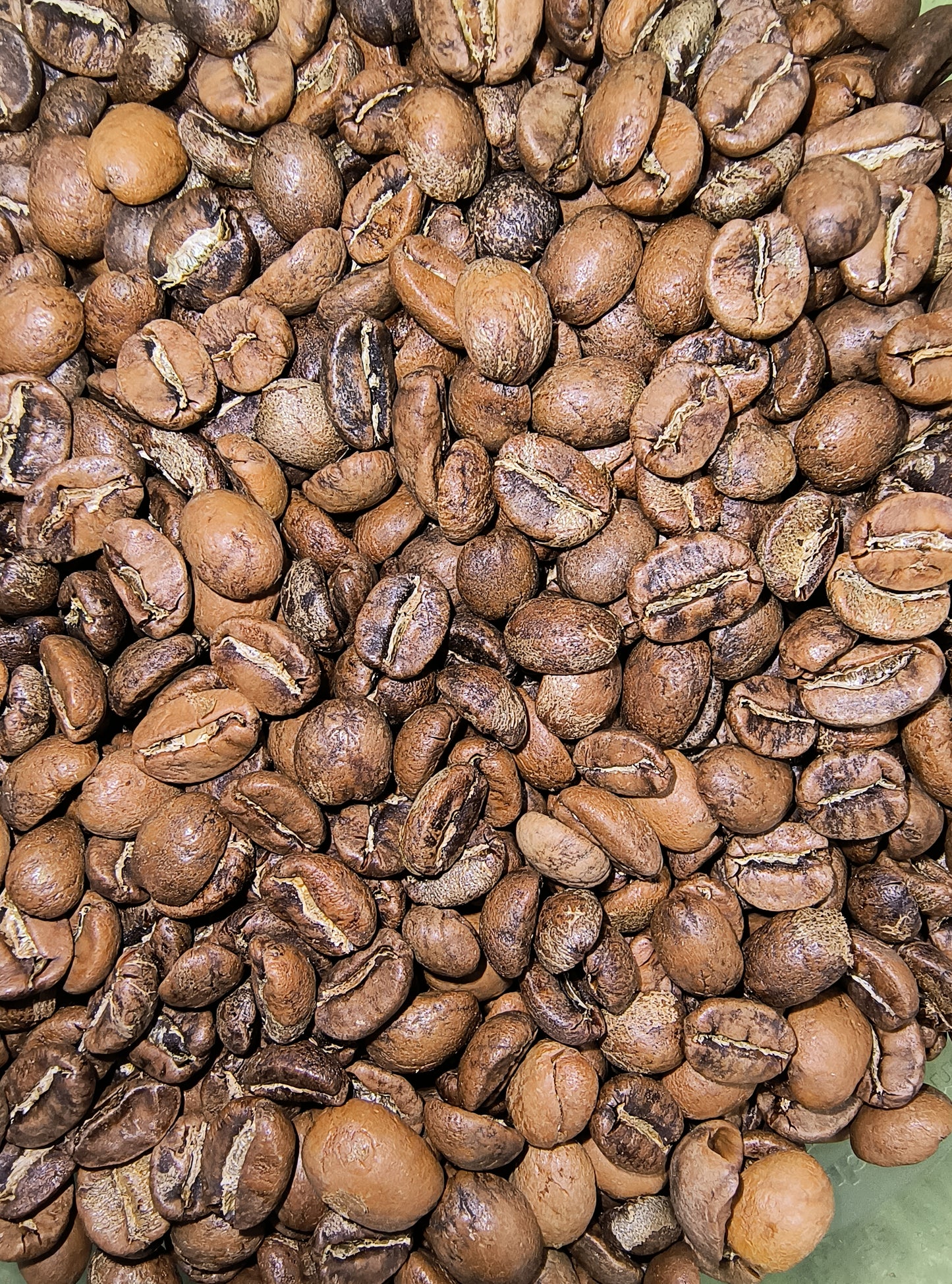 OAXACA MEDIUM ROAST COFFEE